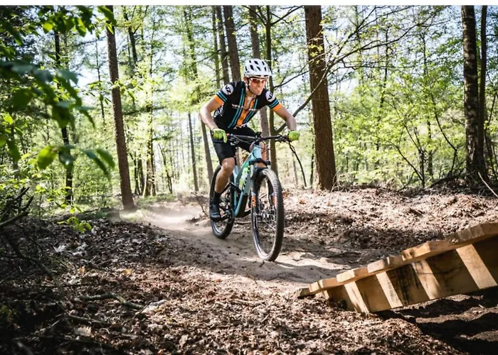 Сasa de vacaciones Bosboerderij De Veluwe, Luxe In Het Bos Lunteren