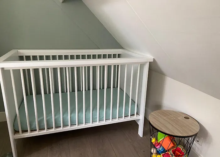 Bosboerderij De Veluwe, Luxe In Het Bos Ferienhaus