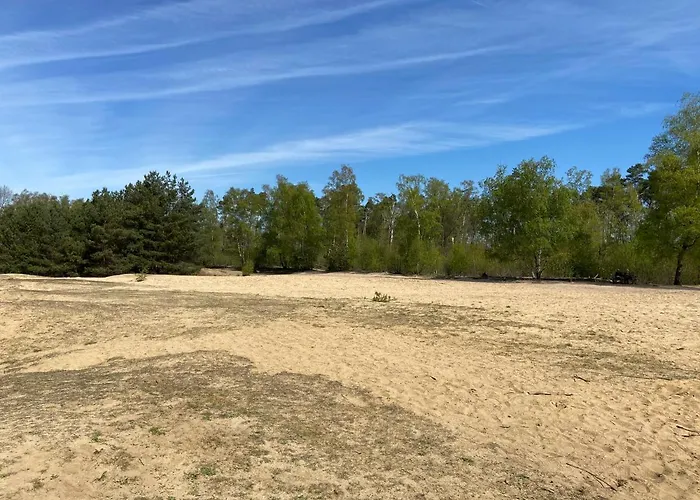 Bosboerderij De Veluwe, Luxe In Het Bos * Lunteren
